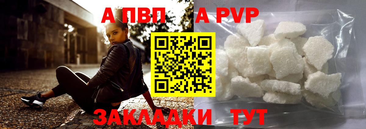 Альфа ПВП СК КРИС Кингисепп
