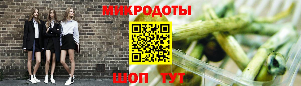 Кингисепп  Галлюциногенные грибы мухоморы  Псилоцибиновые грибы мицелий  Вход с VPN 