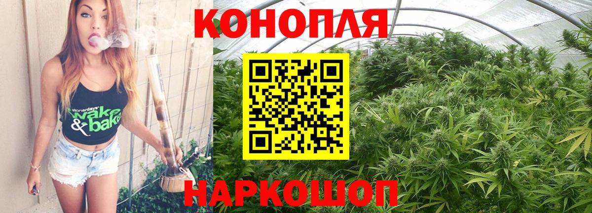 Конопля сатива  Вход с VPN  Конопля AK-47  Каннабис план  Кингисепп  Шишки марихуана тримм 
